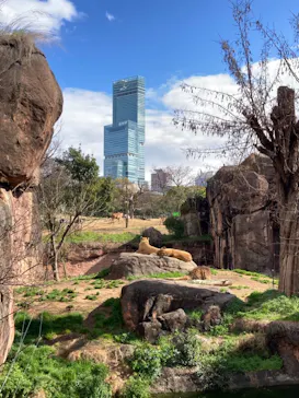天王寺動物園に投稿された画像（2021/3/16）