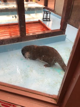 ゼロ距離水族館 伊勢シーパラダイスに投稿された画像（2021/3/16）