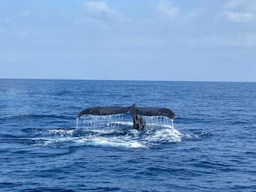 Sea World（シーワールド）に投稿された画像（2021/3/16）