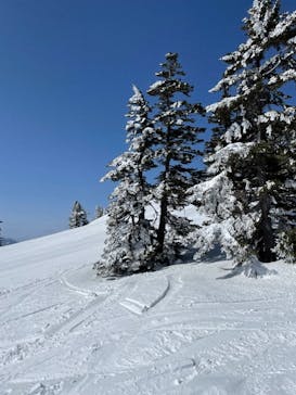志賀高原マウンテンリゾートに投稿された画像（2021/3/16）