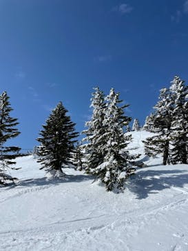 志賀高原マウンテンリゾートに投稿された画像（2021/3/16）