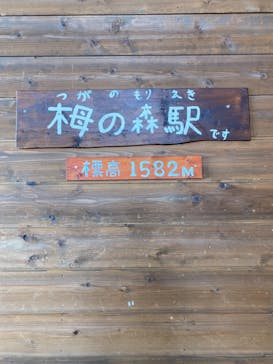 つがいけマウンテンリゾートに投稿された画像（2021/3/16）