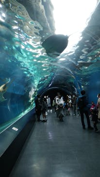 マクセル アクアパーク品川に投稿された画像（2021/3/16）