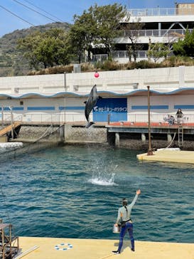 伊豆・三津シーパラダイスに投稿された画像（2021/3/16）