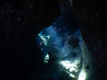 沖縄ダイビング ピンクマーメイドに投稿された画像（2021/3/16）