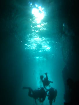 沖縄ダイビング ピンクマーメイドに投稿された画像（2021/3/16）