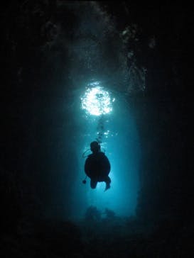 沖縄ダイビング ピンクマーメイドに投稿された画像（2021/3/16）