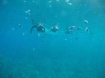 武藤潜水に投稿された画像（2021/3/17）