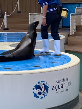 サンシャイン水族館に投稿された画像（2021/3/17）