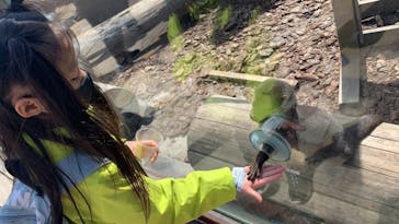 横浜・八景島シーパラダイスに投稿された画像（2021/3/17）