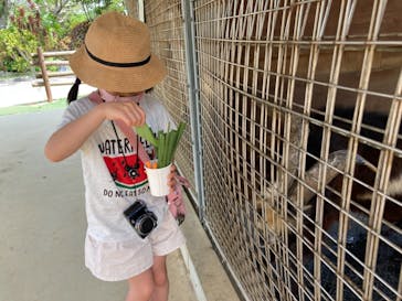 沖縄こどもの国に投稿された画像（2021/3/17）