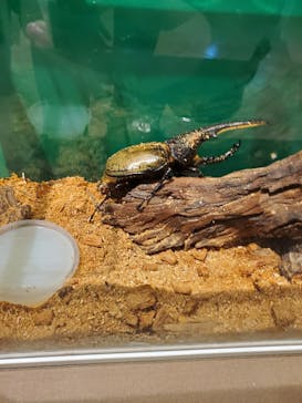 ポルトヨーロッパに投稿された画像（2021/3/17）