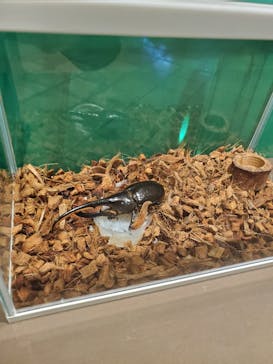 ポルトヨーロッパに投稿された画像（2021/3/17）