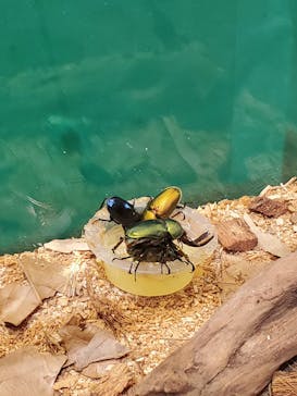 ポルトヨーロッパに投稿された画像（2021/3/17）