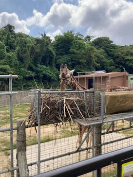 沖縄こどもの国に投稿された画像（2021/3/17）