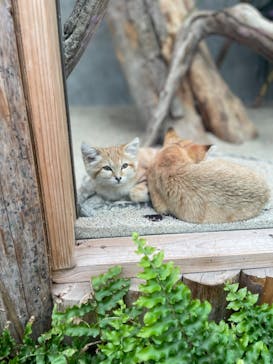 神戸どうぶつ王国に投稿された画像（2021/3/17）