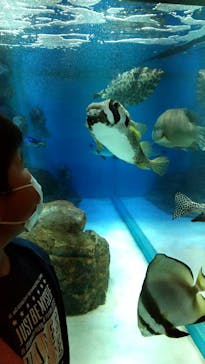 しながわ水族館に投稿された画像（2021/3/17）