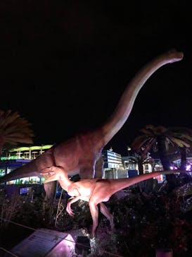 伊豆ぐらんぱる公園に投稿された画像（2021/3/18）