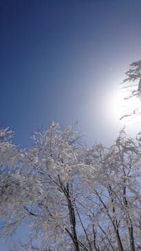 斑尾高原スキー場に投稿された画像（2021/3/18）