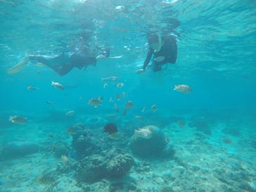 武藤潜水に投稿された画像（2021/3/18）