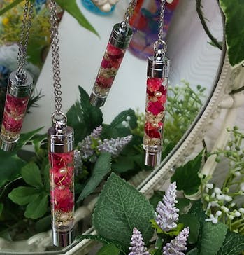 ずこうしつ〜sugamo〜に投稿された画像（2021/3/18）