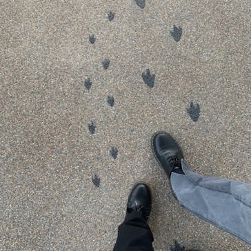 京都水族館に投稿された画像（2021/3/18）