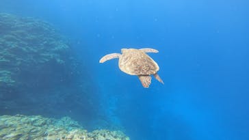 マリンショップtaitaiに投稿された画像（2021/3/18）