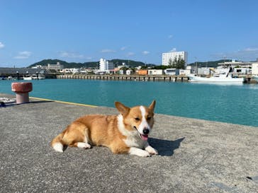 マリンショップtaitaiに投稿された画像（2021/3/18）