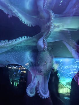 サンシャイン水族館に投稿された画像（2021/3/18）