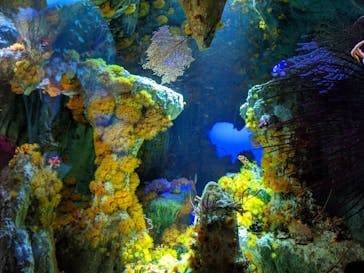 サンシャイン水族館に投稿された画像（2021/3/18）