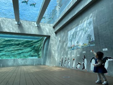 九十九島動植物園森きららに投稿された画像（2021/3/18）