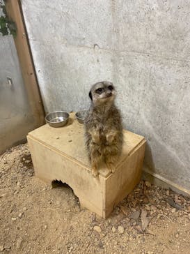 九十九島動植物園森きららに投稿された画像（2021/3/18）