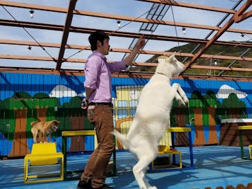 しろとり動物園に投稿された画像（2021/3/18）