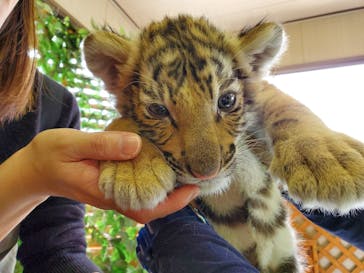 しろとり動物園に投稿された画像（2021/3/18）