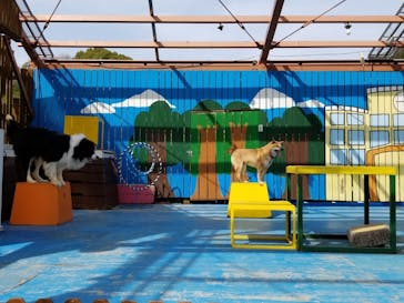 しろとり動物園に投稿された画像（2021/3/18）