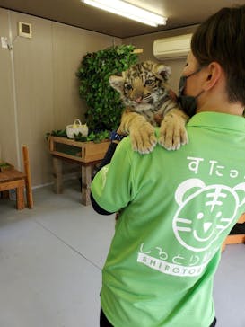 しろとり動物園に投稿された画像（2021/3/18）