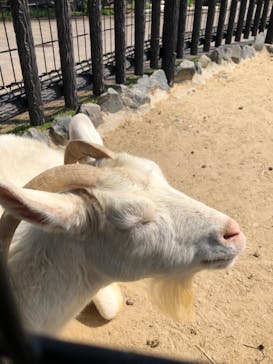 九十九島動植物園森きららに投稿された画像（2021/3/18）