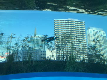 サンシャイン水族館に投稿された画像（2021/3/18）