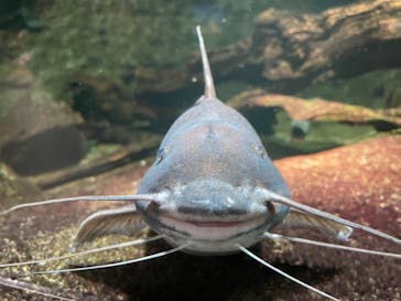 サンシャイン水族館に投稿された画像（2021/3/18）