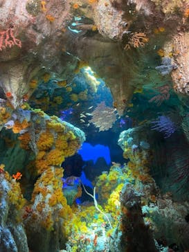 サンシャイン水族館に投稿された画像（2021/3/18）