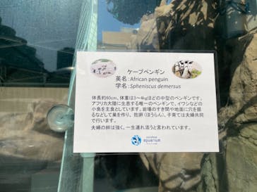 サンシャイン水族館に投稿された画像（2021/3/18）