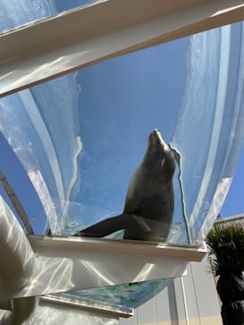 サンシャイン水族館に投稿された画像（2021/3/18）