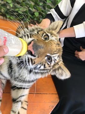 しろとり動物園に投稿された画像（2021/3/18）