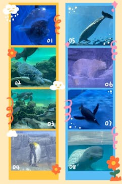 横浜・八景島シーパラダイスに投稿された画像（2021/3/18）