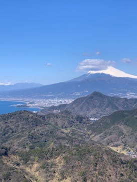 伊豆パノラマパークに投稿された画像（2021/3/18）