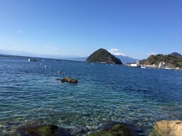 伊豆・三津シーパラダイスに投稿された画像（2021/3/18）