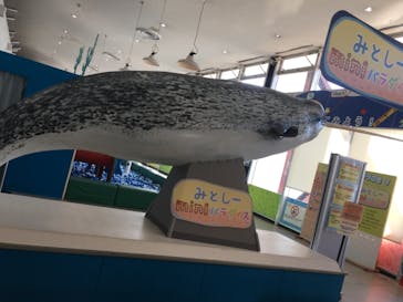 伊豆・三津シーパラダイスに投稿された画像（2021/3/18）