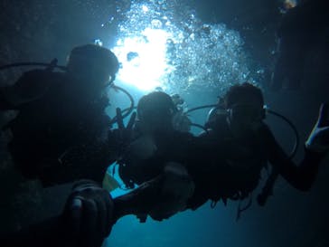 武藤潜水に投稿された画像（2021/3/19）