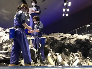 すみだ水族館に投稿された画像（2021/3/19）