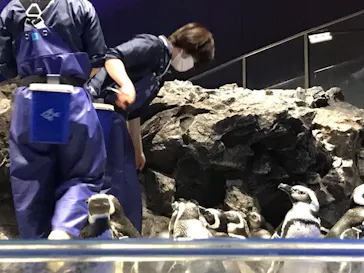 すみだ水族館に投稿された画像（2021/3/19）